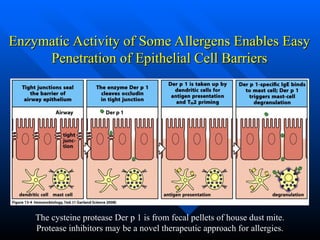 House Dust MitesMitesMitesMitesMites.M.ppt