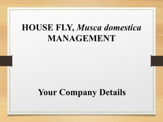 HOUSE FLY, Musca domestica
MANAGEMENT
Your Company Details
 