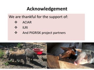 Household pork consumption behaviour in Vietnam: Implications for pro-smallholder pig value chain upgrading