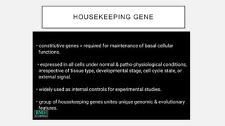 HOUSEKEEPING GENE
 