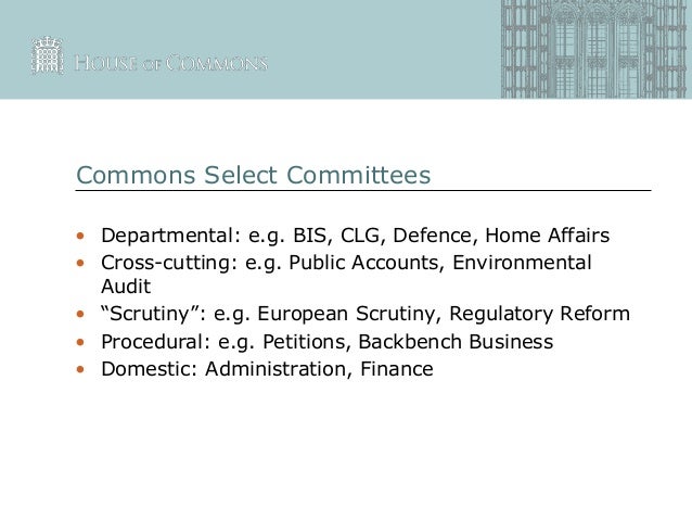 House Of Commons Select Committees – YLEAV