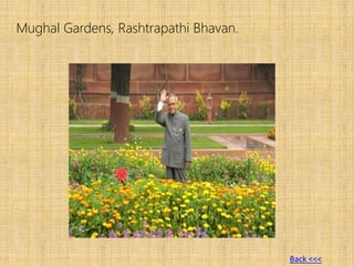 Mughal Gardens, Rashtrapathi Bhavan.
Back <<<
 