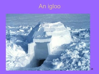 An igloo 