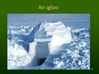 15
An igloo
 