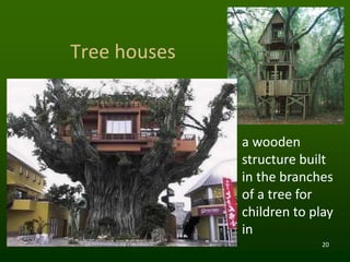 20
Tree houses
a wooden
structure built
in the branches
of a tree for
children to play
in
 