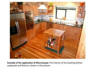 Example	
  of	
  the	
  applicaLon	
  of	
  Marcracarpa:	
  The	
  interior	
  of	
  the	
  dwelling	
  (kithen	
  
cupboards	
  and	
  ﬂoors)	
  is	
  shown	
  in	
  this	
  picture.	
  
 