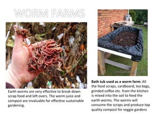 Bath	
  tub	
  used	
  as	
  a	
  worm	
  farm:	
  All	
  
the	
  food	
  scraps,	
  cardboard,	
  tea	
  bags,	
  
grinded	
  coﬀee	
  etc.	
  from	
  the	
  kitchen	
  
is	
  mixed	
  into	
  the	
  soil	
  to	
  feed	
  the	
  
earth	
  worms.	
  The	
  worms	
  will	
  
consume	
  the	
  scraps	
  and	
  produce	
  top	
  
quality	
  compost	
  for	
  veggie	
  gardens	
  	
  
Earth	
  worms	
  are	
  very	
  eﬀecOve	
  to	
  break	
  down	
  
scrap	
  food	
  and	
  lem	
  overs.	
  The	
  worm	
  juice	
  and	
  
compost	
  are	
  invaluable	
  for	
  eﬀecOve	
  sustainable	
  
gardening. 	
  	
  
 