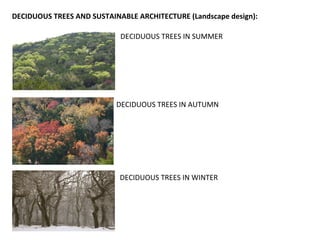 DECIDUOUS	
  TREES	
  AND	
  SUSTAINABLE	
  ARCHITECTURE	
  (Landscape	
  design):	
  
DECIDUOUS	
  TREES	
  IN	
  SUMMER	
  
DECIDUOUS	
  TREES	
  IN	
  AUTUMN	
  
DECIDUOUS	
  TREES	
  IN	
  WINTER	
  
 