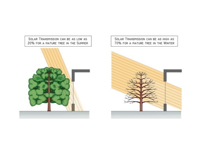 House solarei passive solar design