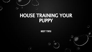 HOUSE TRAINING YOUR
PUPPY
BEST TIPS!
 