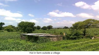 Hut in farm outside a village
 