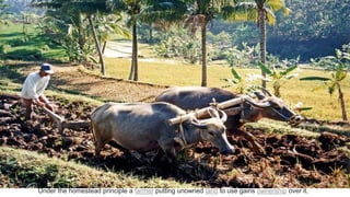 Under the homestead principle a farmer putting unowned land to use gains ownership over it.
 