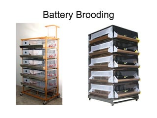 Housing&Equipments | PPT