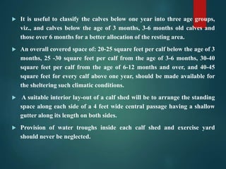  It is useful to classify the calves below one year into three age groups,
viz., and calves below the age of 3 months, 3-6 months old calves and
those over 6 months for a better allocation of the resting area.
 An overall covered space of: 20-25 square feet per calf below the age of 3
months, 25 -30 square feet per calf from the age of 3-6 months, 30-40
square feet per calf from the age of 6-12 months and over, and 40-45
square feet for every calf above one year, should be made available for
the sheltering such climatic conditions.
 A suitable interior lay-out of a calf shed will be to arrange the standing
space along each side of a 4 feet wide central passage having a shallow
gutter along its length on both sides.
 Provision of water troughs inside each calf shed and exercise yard
should never be neglected.
 