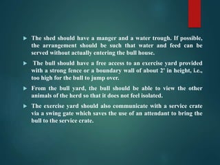 The shed should have a manger and a water trough. If possible,
the arrangement should be such that water and feed can be
served without actually entering the bull house.
 The bull should have a free access to an exercise yard provided
with a strong fence or a boundary wall of about 2' in height, i.e.,
too high for the bull to jump over.
 From the bull yard, the bull should be able to view the other
animals of the herd so that it does not feel isolated.
 The exercise yard should also communicate with a service crate
via a swing gate which saves the use of an attendant to bring the
bull to the service crate.
 