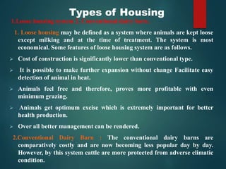 1.Loose housing system 2. Conventional dairy barn.
1. Loose housing may be defined as a system where animals are kept loose
except milking and at the time of treatment. The system is most
economical. Some features of loose housing system are as follows.
 Cost of construction is significantly lower than conventional type.
 It is possible to make further expansion without change Facilitate easy
detection of animal in heat.
 Animals feel free and therefore, proves more profitable with even
minimum grazing.
 Animals get optimum excise which is extremely important for better
health production.
 Over all better management can be rendered.
2.Conventional Dairy Barn : The conventional dairy barns are
comparatively costly and are now becoming less popular day by day.
However, by this system cattle are more protected from adverse climatic
condition.
Types of Housing
 