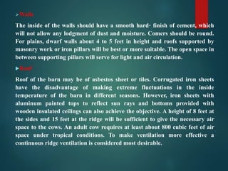 Walls
The inside of the walls should have a smooth hard· finish of cement, which
will not allow any lodgment of dust and moisture. Comers should be round.
For plains, dwarf walls about 4 to 5 feet in height and roofs supported by
masonry work or iron pillars will be best or more suitable. The open space in
between supporting pillars will serve for light and air circulation.
Roof
Roof of the barn may be of asbestos sheet or tiles. Corrugated iron sheets
have the disadvantage of making extreme fluctuations in the inside
temperature of the barn in different seasons. However, iron sheets with
aluminum painted tops to reflect sun rays and bottoms provided with
wooden insulated ceilings can also achieve the objective. A height of 8 feet at
the sides and 15 feet at the ridge will be sufficient to give the necessary air
space to the cows. An adult cow requires at least about 800 cubic feet of air
space under tropical conditions. To make ventilation more effective a
continuous ridge ventilation is considered most desirable.
 