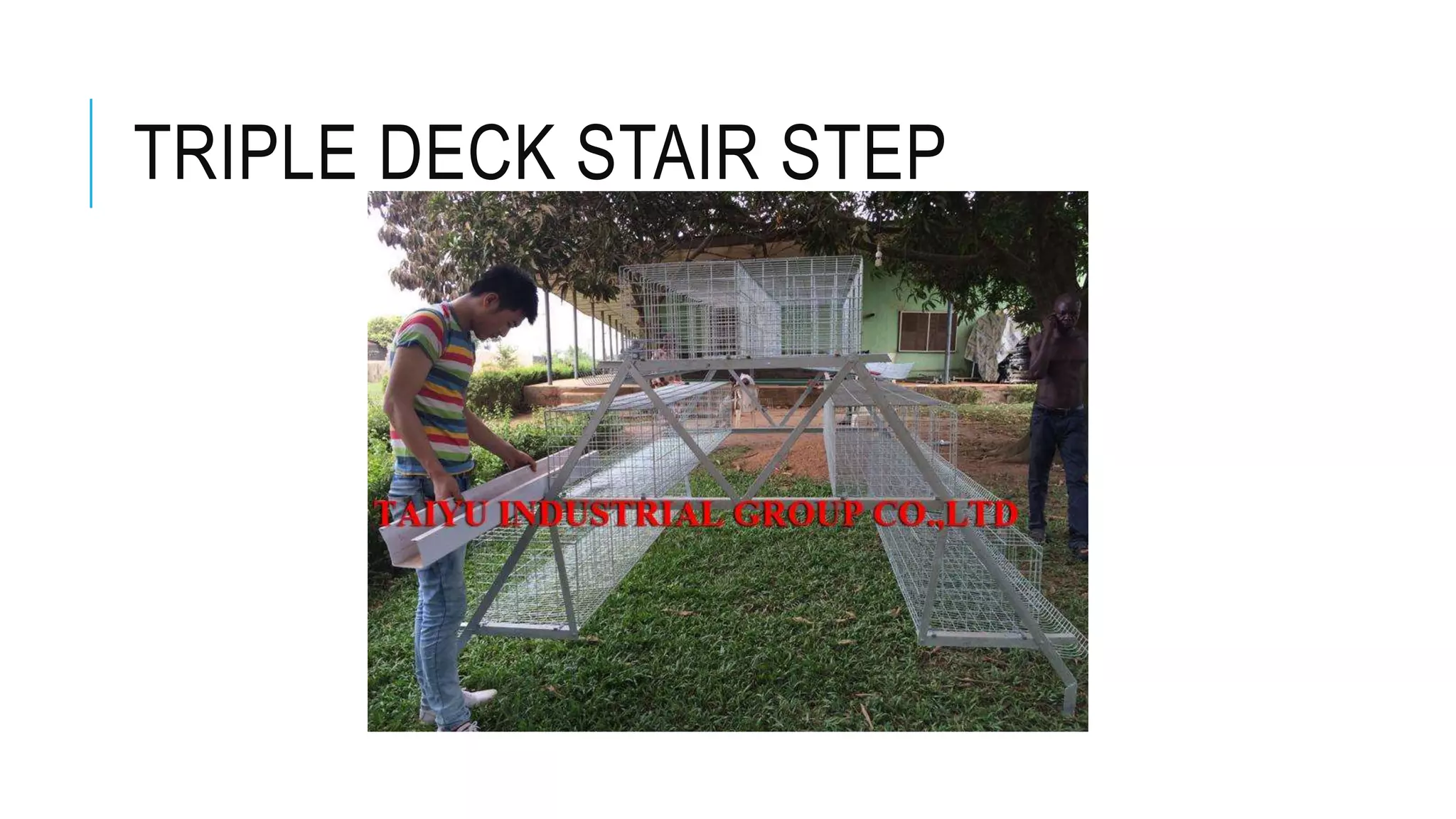 TRIPLE DECK STAIR STEP
 