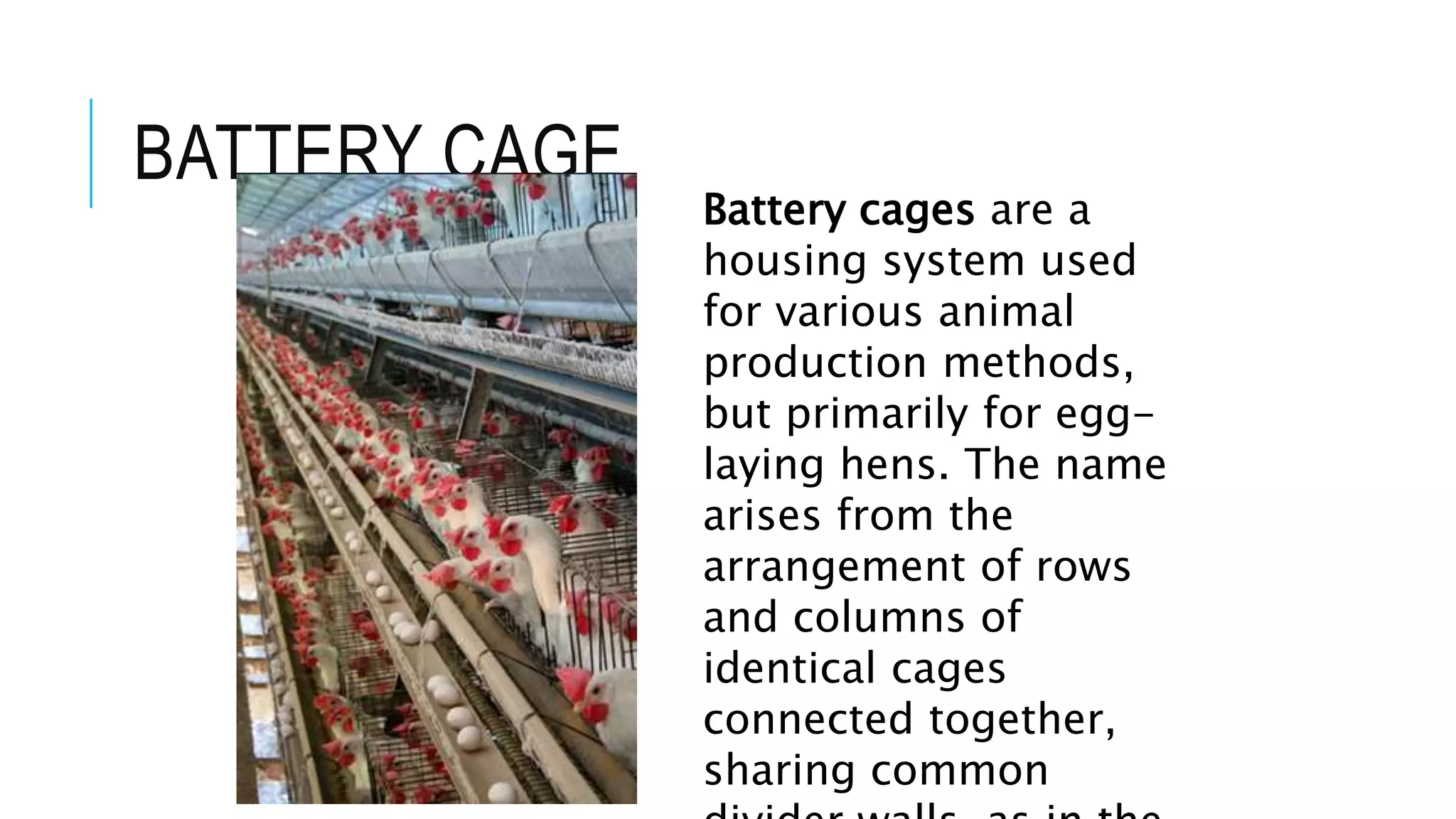BATTERY CAGE
Battery cages are a
housing system used
for various animal
production methods,
but primarily for egg-
laying hens. The name
arises from the
arrangement of rows
and columns of
identical cages
connected together,
sharing common
 