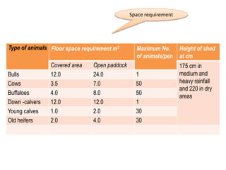 Space requirement
Type of animals Floor space requirement m2 Maximum No.
of animals/pen
Height of shed
at cm
Covered area Open paddock 175 cm in
medium and
heavy rainfall
and 220 in dry
areas
Bulls 12.0 24.0 1
Cows 3.5 7.0 50
Buffaloes 4.0 8.0 50
Down -calvers 12.0 12.0 1
Young calves 1.0 2.0 30
Old heifers 2.0 4.0 30
 