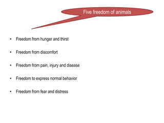 • Freedom from hunger and thirst
• Freedom from discomfort
• Freedom from pain, injury and disease
• Freedom to express normal behavior
• Freedom from fear and distress
Five freedom of animals
 