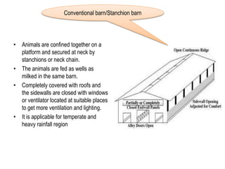 • Animals are confined together on a
platform and secured at neck by
stanchions or neck chain.
• The animals are fed as wells as
milked in the same barn.
• Completely covered with roofs and
the sidewalls are closed with windows
or ventilator located at suitable places
to get more ventilation and lighting.
• It is applicable for temperate and
heavy rainfall region
Conventional barn/Stanchion barn
 