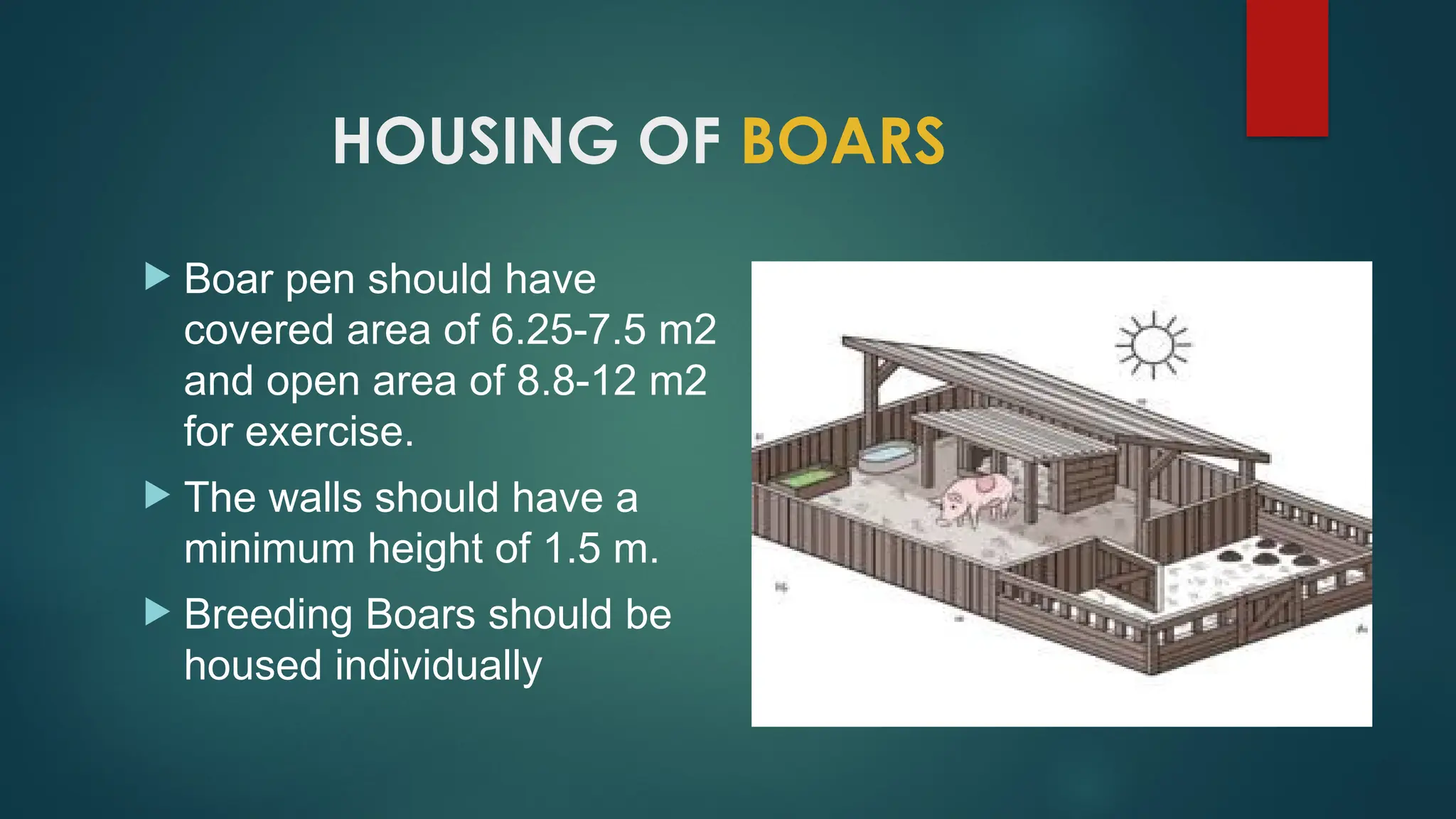 Veterinary Housing standards of pigs.pptx