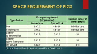 Veterinary Housing standards of pigs.pptx