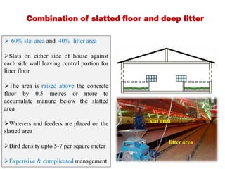 Slatted Unit Housing systems of modern poultry | PPTX