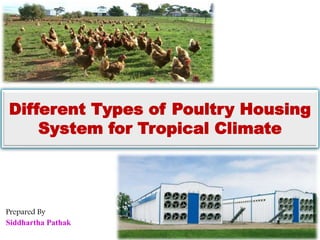 Different Types of Poultry Housing
System for Tropical Climate
Prepared By
Siddhartha Pathak
 