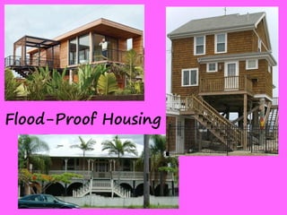 Housing to withstand natural disasters | PDF