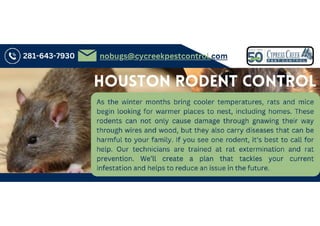 Rodent Control Houston Tx
