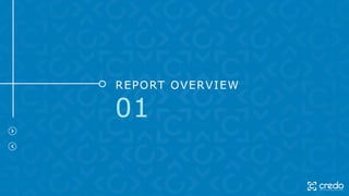 REPORT OVERVIEW
01
 
