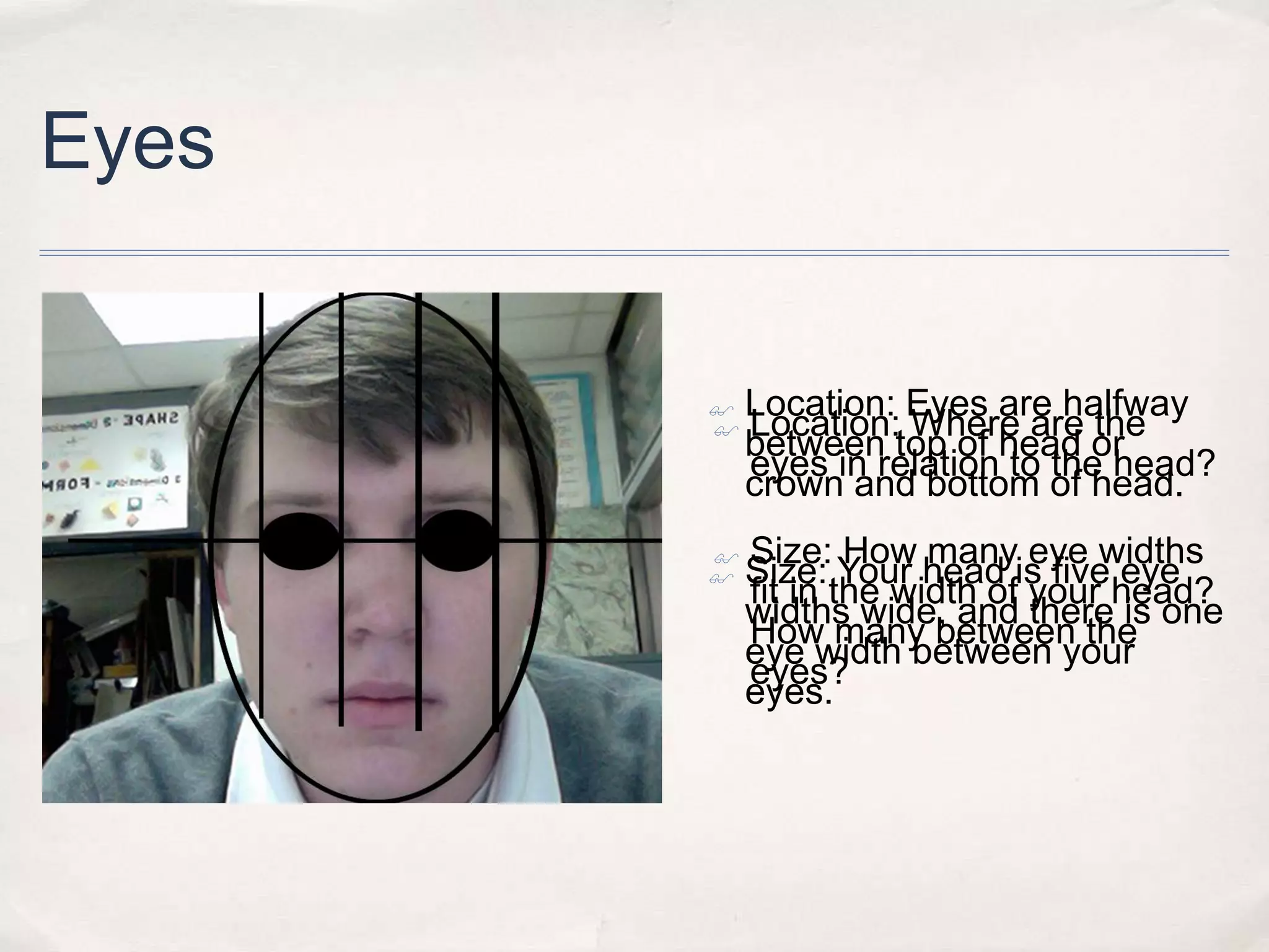 Eyes
Location: Eyes are halfway
Location: Where are the
between top of head or
eyes in relation to the head?
crown and bottom of head.
Size: How many eye widths
Size: Your head is five eye
fit in the width of your head?
widths wide, and there is one
How many between the
eye width between your
eyes?
eyes.