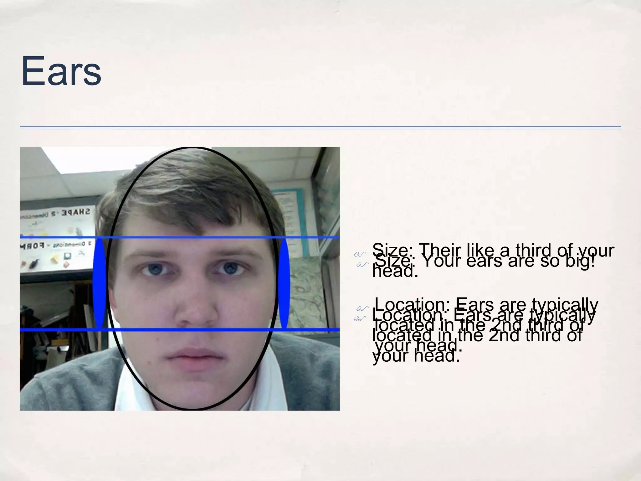 Ears
Size: Their like a third of your
Size: Your ears are so big!
head.
Location: Ears are typically
Location: Ears are typically
located in the 2nd third of
located in the 2nd third of
your head.
your head.
