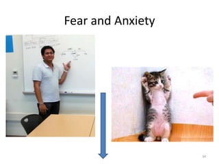 Fear and Anxiety

34

 