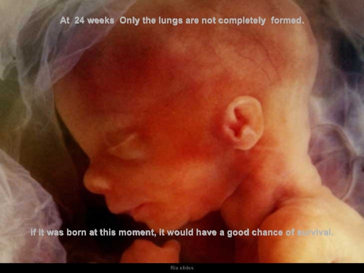 How A Baby Grows In The Mothers Womb