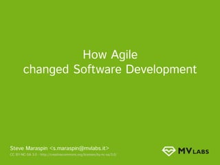 How Agile
changed Software Development
Steve Maraspin <s.maraspin@mvlabs.it>
CC BY-NC-SA 3.0 - http://creativecommons.org/licenses/by-nc-sa/3.0/
 