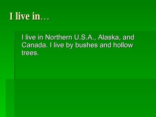 I live in… I live in Northern U.S.A., Alaska, and Canada. I live by bushes and hollow trees.