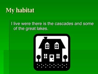 My habitat I live were there is the cascades and some of the great lakes.