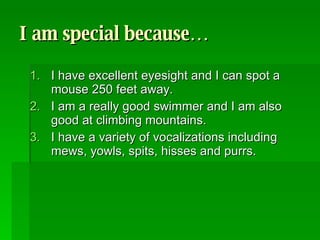 I am special because… I have excellent eyesight and I can spot a mouse 250 feet away. I am a really good swimmer and I am also good at climbing mountains. I have a variety of vocalizations including mews, yowls, spits, hisses and purrs.