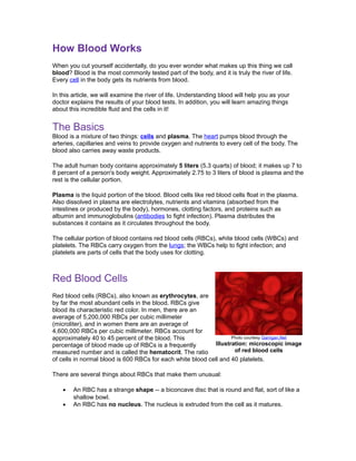 www.rtibloodinfo.org
How Blood Works
When you cut yourself accidentally, do you ever wonder what makes up this thing we call
blood? Blood is the most commonly tested part of the body, and it is truly the river of life.
Every cell in the body gets its nutrients from blood.

In this article, we will examine the river of life. Understanding blood will help you as your
doctor explains the results of your blood tests. In addition, you will learn amazing things
about this incredible fluid and the cells in it!


The Basics
Blood is a mixture of two things: cells and plasma. The heart pumps blood through the
arteries, capillaries and veins to provide oxygen and nutrients to every cell of the body. The
blood also carries away waste products.

The adult human body contains approximately 5 liters (5.3 quarts) of blood; it makes up 7 to
8 percent of a person's body weight. Approximately 2.75 to 3 liters of blood is plasma and the
rest is the cellular portion.

Plasma is the liquid portion of the blood. Blood cells like red blood cells float in the plasma.
Also dissolved in plasma are electrolytes, nutrients and vitamins (absorbed from the
intestines or produced by the body), hormones, clotting factors, and proteins such as
albumin and immunoglobulins (antibodies to fight infection). Plasma distributes the
substances it contains as it circulates throughout the body.

The cellular portion of blood contains red blood cells (RBCs), white blood cells (WBCs) and
platelets. The RBCs carry oxygen from the lungs; the WBCs help to fight infection; and
platelets are parts of cells that the body uses for clotting.



Red Blood Cells
Red blood cells (RBCs), also known as erythrocytes, are
by far the most abundant cells in the blood. RBCs give
blood its characteristic red color. In men, there are an
average of 5,200,000 RBCs per cubic millimeter
(microliter), and in women there are an average of
4,600,000 RBCs per cubic millimeter. RBCs account for
approximately 40 to 45 percent of the blood. This                   Photo courtesy Garrigan.Net
percentage of blood made up of RBCs is a frequently          Illustration: microscopic image
measured number and is called the hematocrit. The ratio              of red blood cells
of cells in normal blood is 600 RBCs for each white blood cell and 40 platelets.

There are several things about RBCs that make them unusual:

    •   An RBC has a strange shape -- a biconcave disc that is round and flat, sort of like a
        shallow bowl.
    •   An RBC has no nucleus. The nucleus is extruded from the cell as it matures.
 