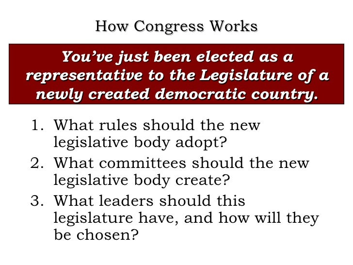 How Congress Works