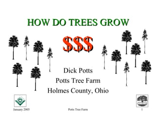 HOW DO TREES GROW Dick Potts Potts Tree Farm Holmes County, Ohio $$$ 