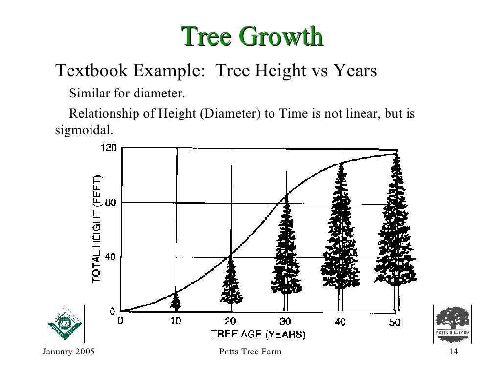 How Do Trees Grow?