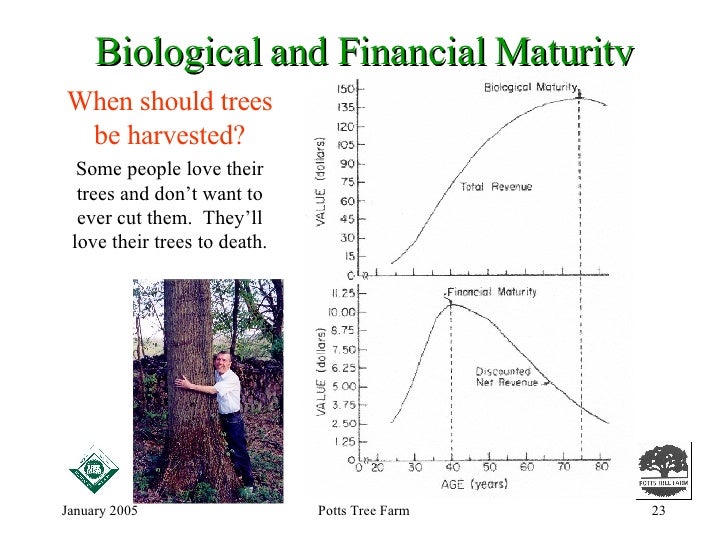 How Do Trees Grow?