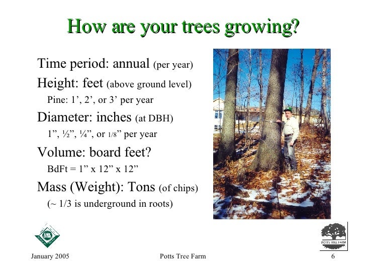How Do Trees Grow?