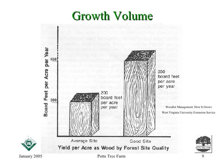 How Do Trees Grow?