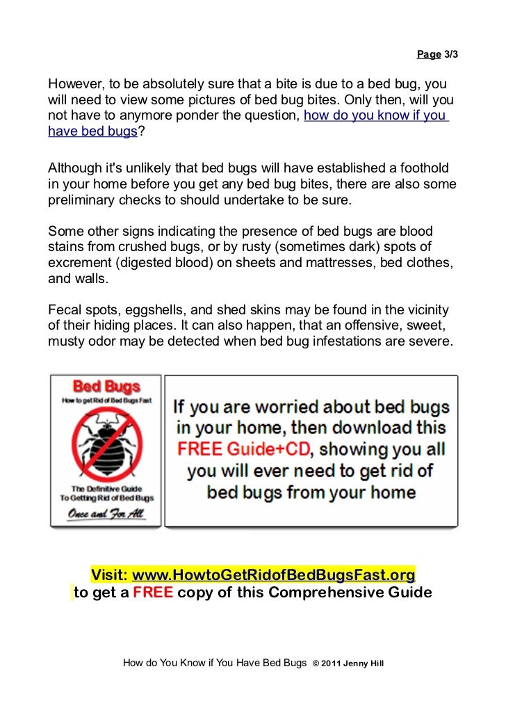 bug bed bites