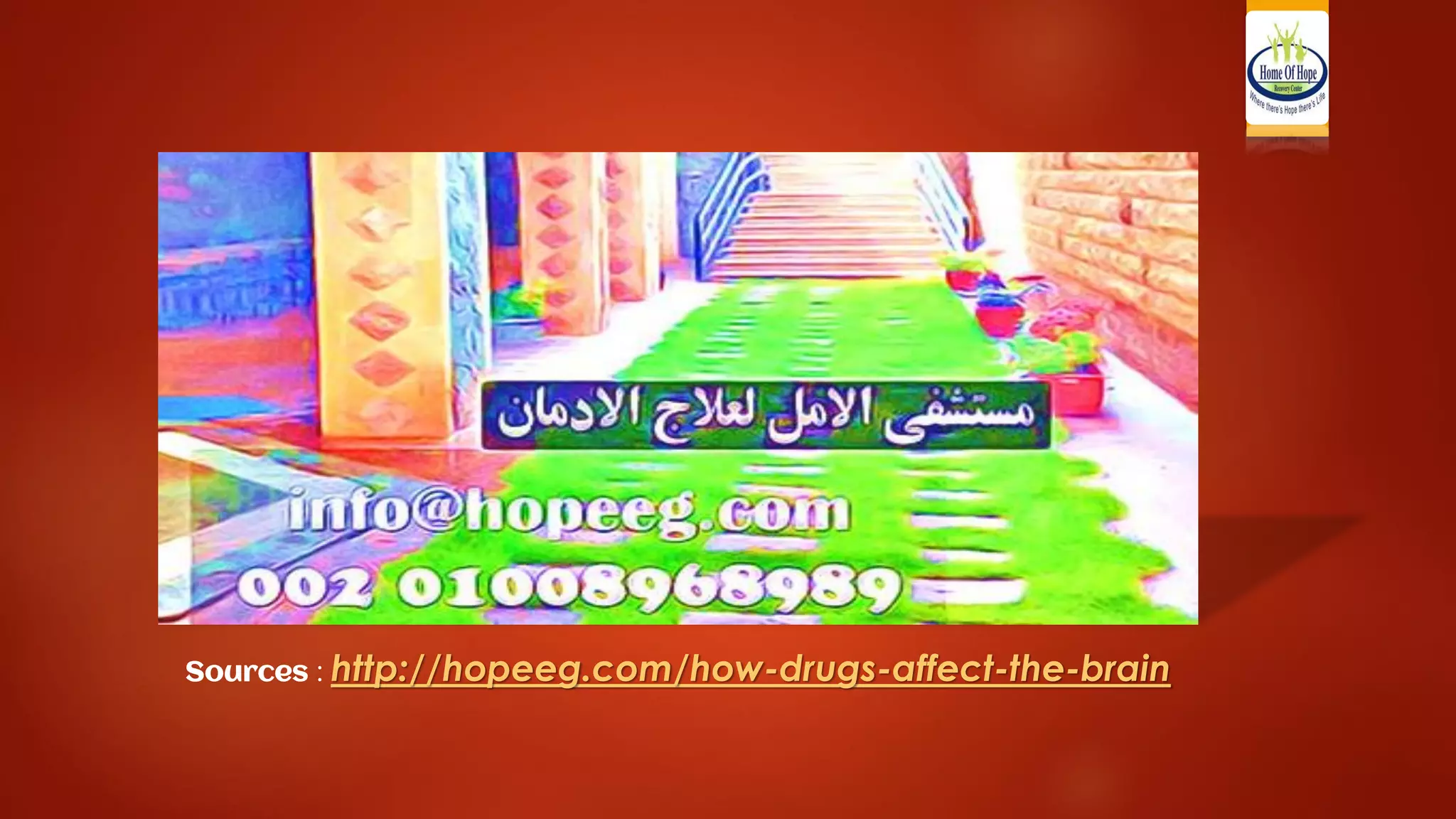 Sources: http://hopeeg.com/how-drugs-affect-the-brain